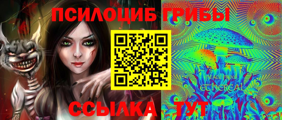 Краснознаменск  Галлюциногенные грибы Magic Shrooms  купить наркоту  Вход с VPN 
